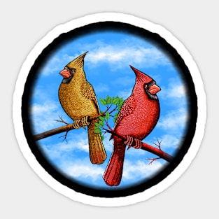 Red Cardinal bird cute red birds Sticker